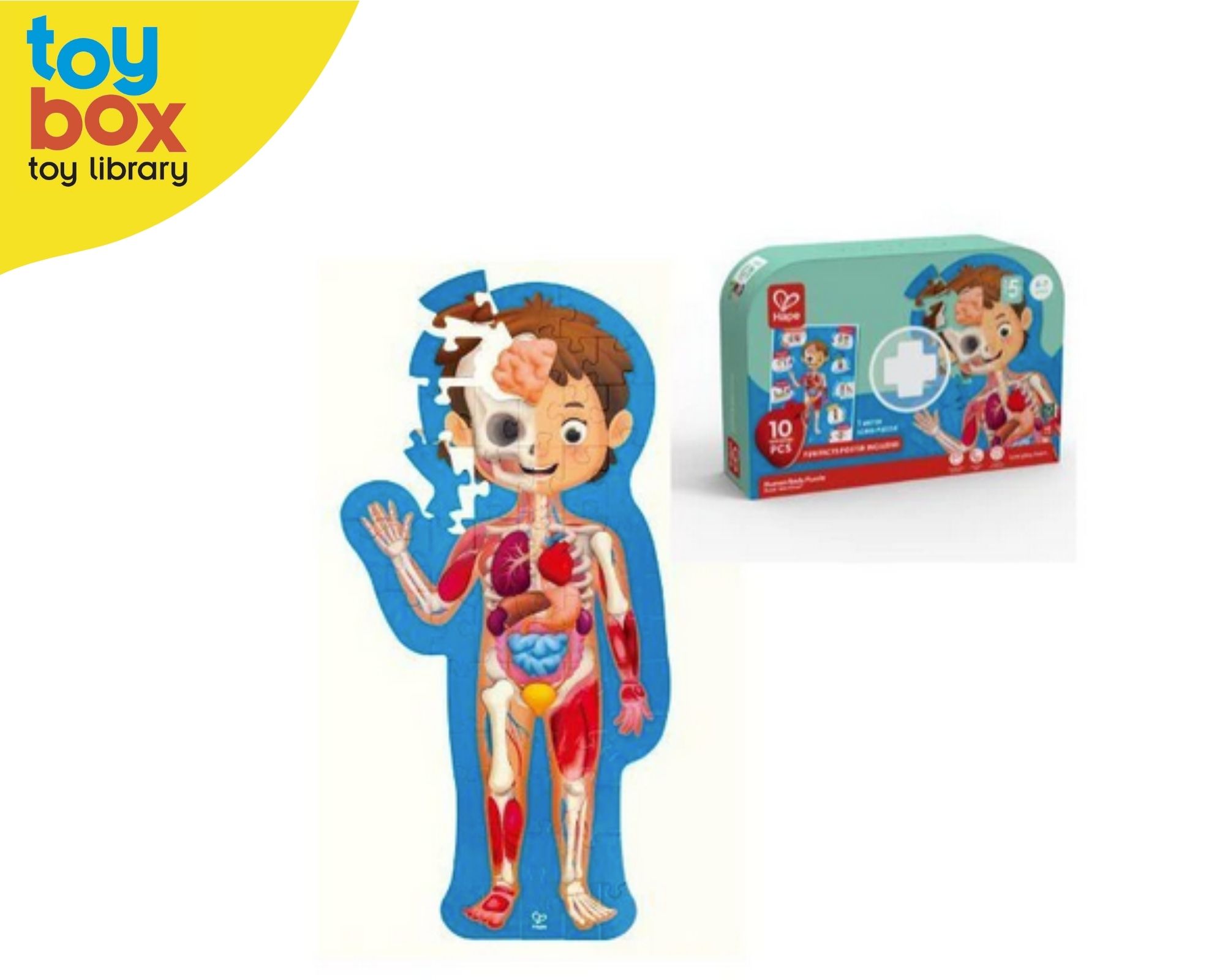 Hape Human Body Puzzle
